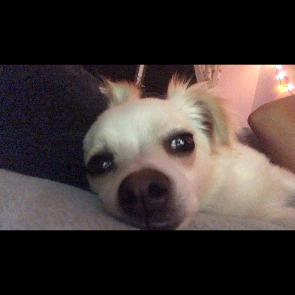 Meet your Posher, Sara